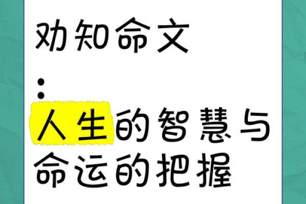 掌握命理智慧，生活应用软件助你开启美好人生
