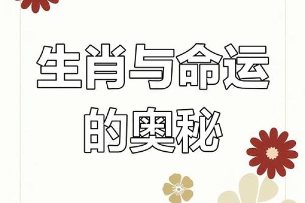 揭开早命之谜：与生肖相伴的命运旅程