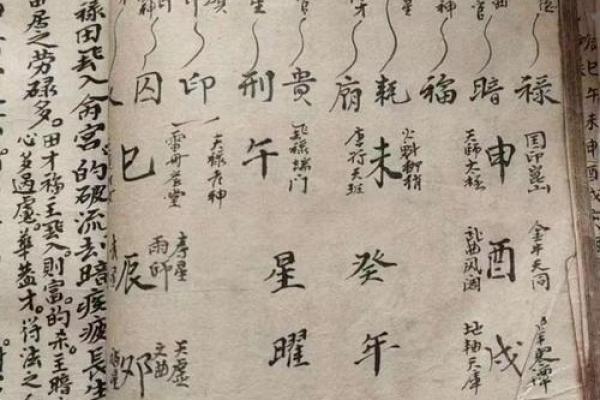 探秘命理：红命母与粉命母的区别及其影响