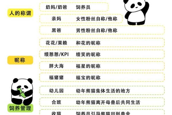 为什么熊猫命比人重要？探讨珍稀动物与生态平衡的关系