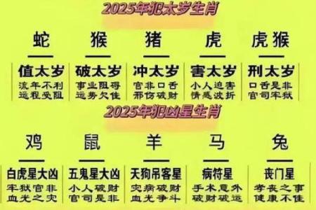 牛年与虎年的命运解析：你属于哪种命理？