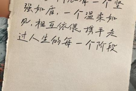 相依为命：生活中的温暖与坚持，携手共渡每一个日夜