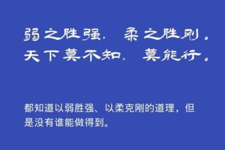 王爷命意蕴：周易智慧的深邃与启示