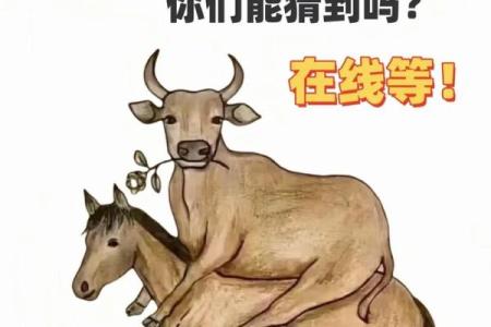 图解成语：从画中看成语的奥妙与智慧