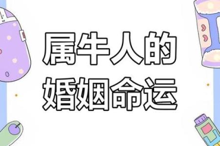 47岁牛年命运解析：人生智慧与职业选择的完美结合