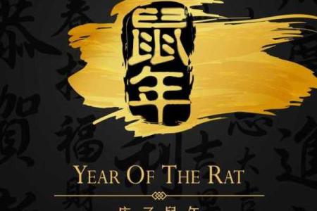 2023年鼠年生人的命运解析：如何把握机会，迎接美好人生