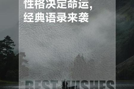 2019年属狗人的命运与性格解析：开启辉煌人生的钥匙