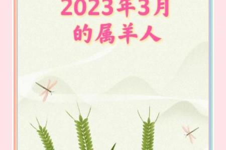 52岁属羊的生肖命理与人生运势探秘！