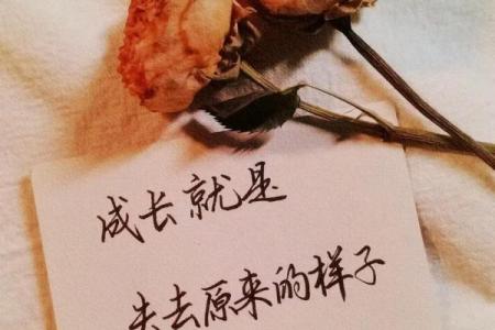 86炉中火命的幸运之道：喜好与生活的完美平衡