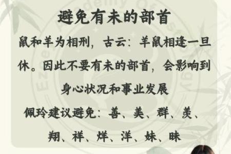 1996年出生的鼠命之人：命理缺失与人生启示