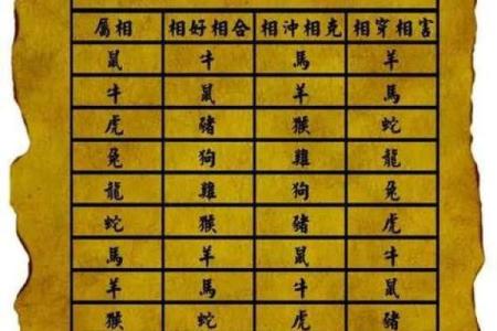 属猪申时出生的命运解析：智慧与富贵的结合之道