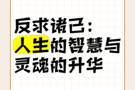 2023年81岁生肖命运解析：从命理看人生的智慧与哲理