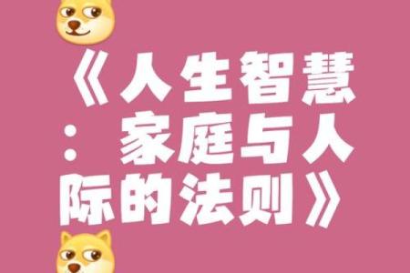 掌握命理智慧，生活应用软件助你开启美好人生