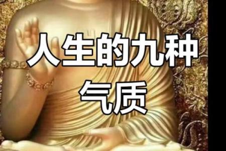 从脾气看命运：聆听《什么脾气就是什么命》的心灵启示