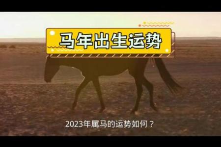 1990年男属马的命理解析与人生运势探讨