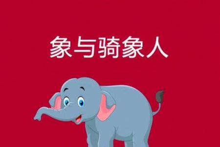 51岁属鸡土命：探索人生的智慧与幸福之路