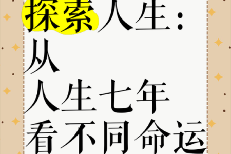 一九六七年出生命运解析：探索人生的奇妙旅程与命理奥秘