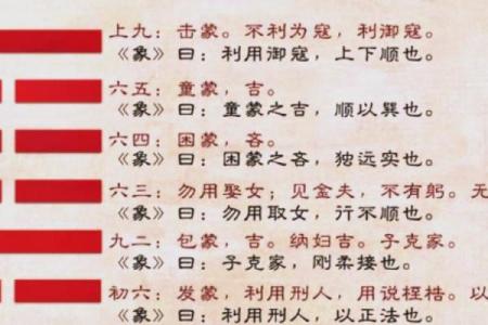 解密三元命离卦与东四命的深厚智慧
