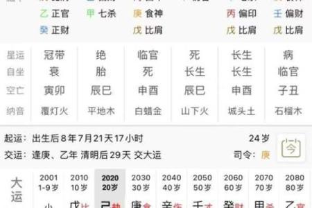 探秘命理：己巳壬申丙辰己亥命的深邃与启示