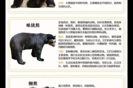 为什么熊猫命比人重要？探讨珍稀动物与生态平衡的关系