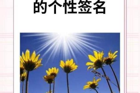 提什么命什么：找到生活的亮点，照亮每一天！