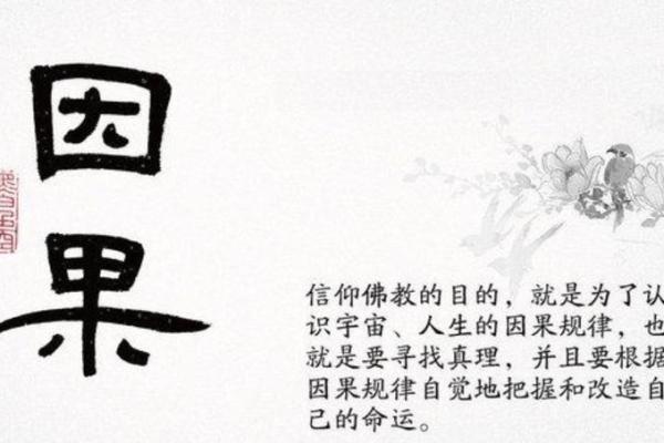 生儿子的命运之谜：从命理看孩子的未来