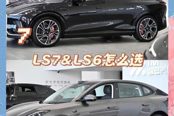 属牛金命人士该选什么车？让我们来分析一下！