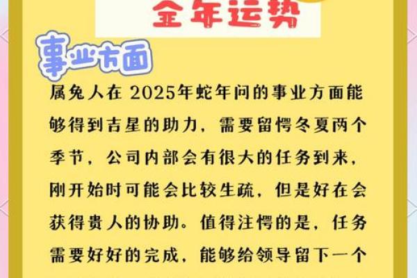 63年卯兔：探索属兔人的命运秘密与生活智慧