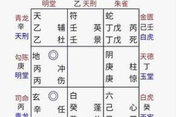 72年女鼠命运分析：成功与挑战并存的生活轨迹