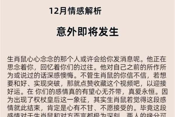 72年女鼠命运分析：成功与挑战并存的生活轨迹