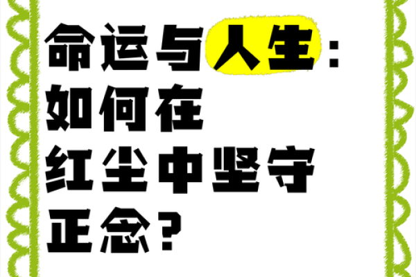 大脸女生的命运之谜：如何扬长避短，活出精彩人生