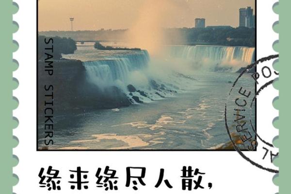 缘也是命：探寻人生中的不可控与宿命交错