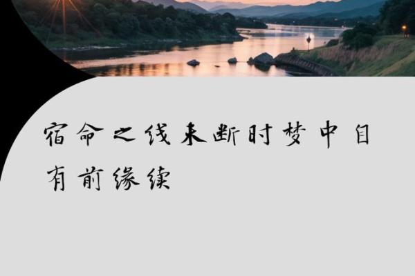 缘也是命：探寻人生中的不可控与宿命交错