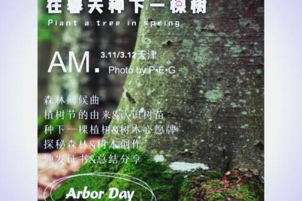 探索孩子扎根森林的奥秘：自然中的成长与启迪