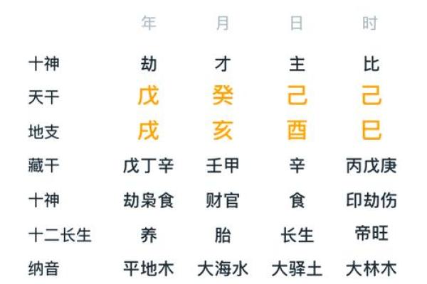 巳时属马的命运解析：探寻不同命格的特色与人生道路
