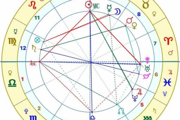 九五年属什么命：解码不同命格的智慧与魅力