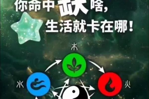 九五年属什么命：解码不同命格的智慧与魅力