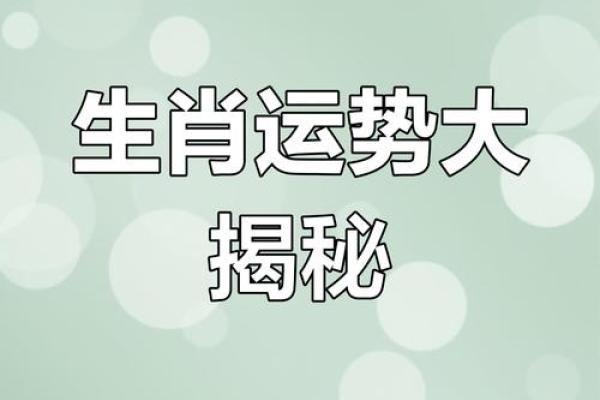 探秘2018年属狗的命运与人生智慧