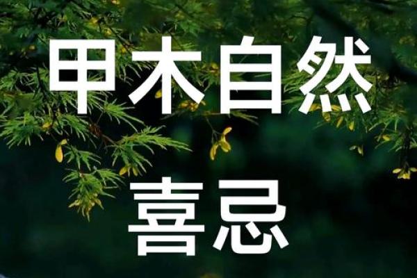 甲木命的最佳佩戴建议，助您提升运势与气场！