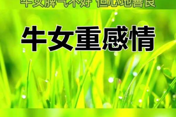 属牛之人的成长与命运：探索命理之美