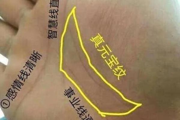 双断掌的女人：命运的独特印记与人生启示