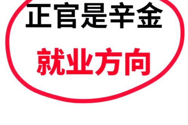 金命人士的职业选择：适合从事哪些领域？