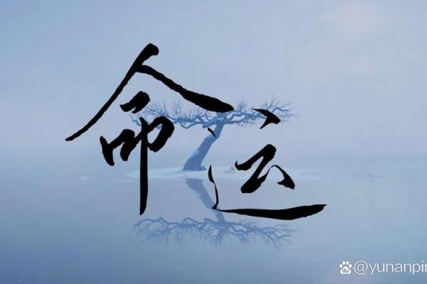 1991年出生的人：命运与机遇的交响曲