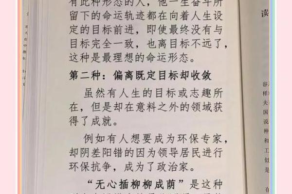 掌握命运的密码：解析你的命运类型与人生轨迹