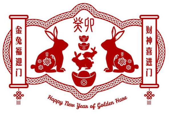 猪年男孩属什么命，解析命理与未来发展之道