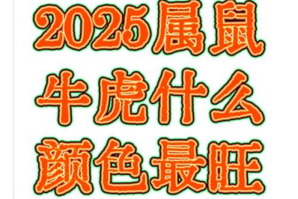 虎宝宝出生时的命理解析：揭示寅虎之命的五行与性格特征