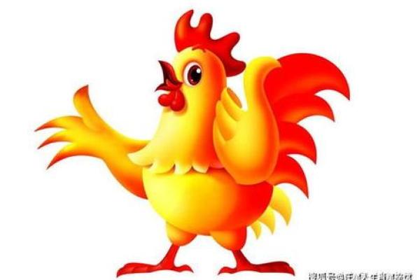 属鸡的命运与运势：1981年出生的人生哲学与启示