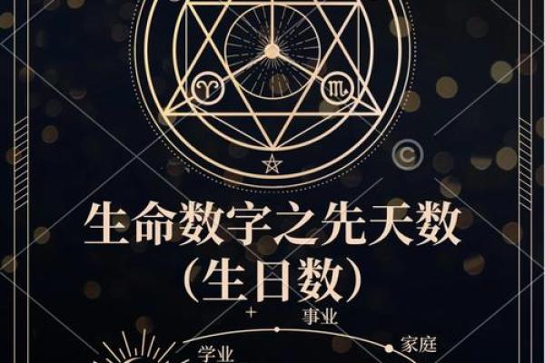 什么是平均余命年龄？解密生命长度的奥秘与启示