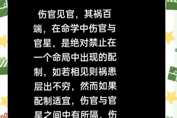 丙午出生的命运解析：探寻其个性与人生道路的奥秘