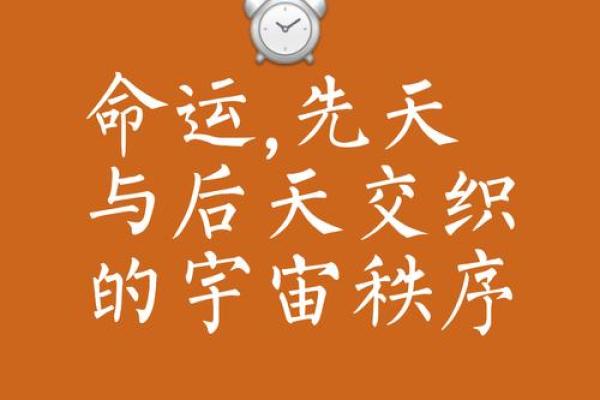揭开命运的面纱：根据出生年份洞悉你的人生轨迹